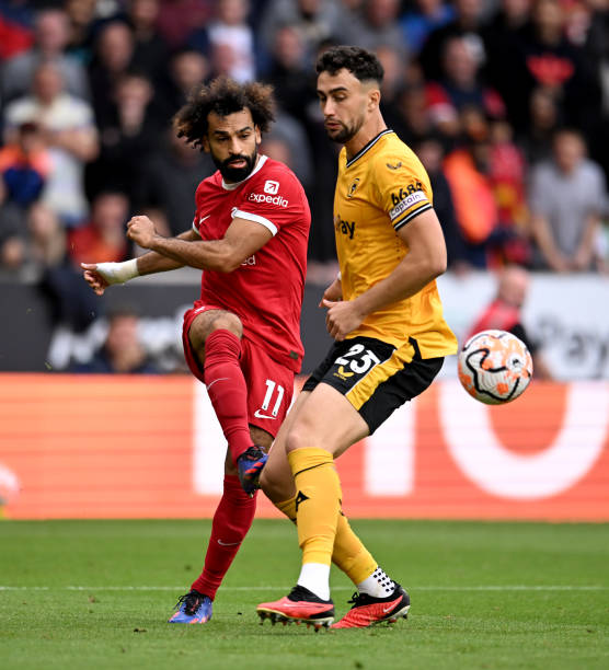 成长无疑将 成长无疑将