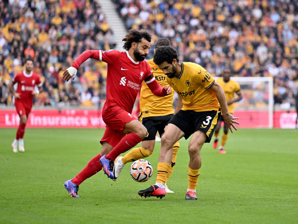 的整体身体 的整体身体