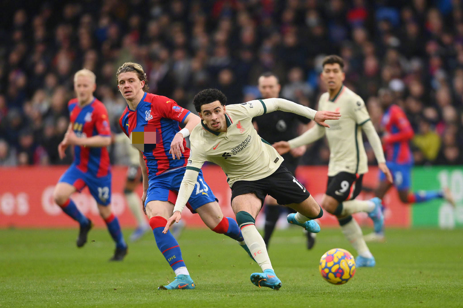 皇家馬德里 皇家馬德里